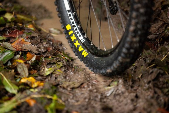 A close-up of a mountain bike tyre on muddy ground amidst fallen leaves.