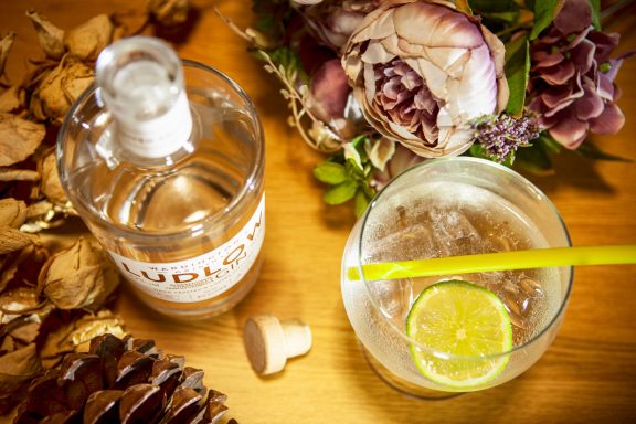 Clear drink with a lemon slice, bottle of alcohol, and decorative flowers and pinecones.