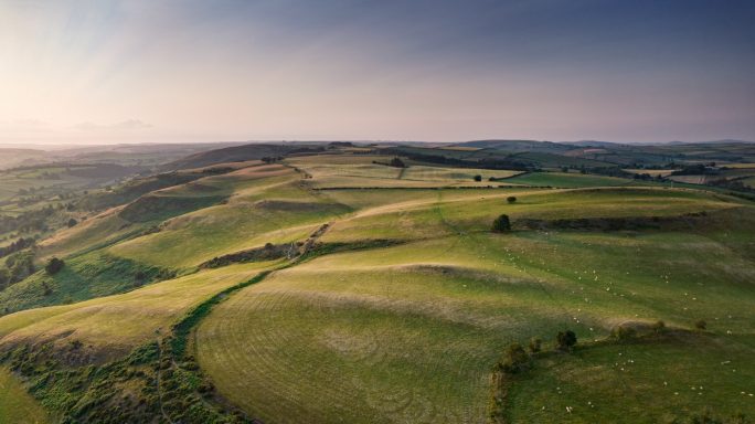 Vast green hills under a clear sky, with gentle slopes and sunlight casting shadows.