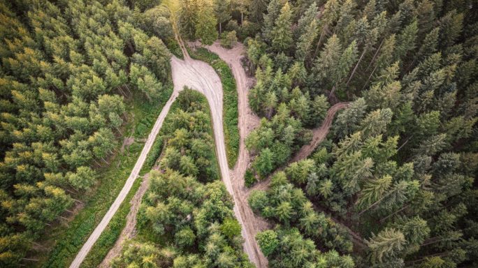 Aerial view of meandering dirt paths through a dense forest of green trees.