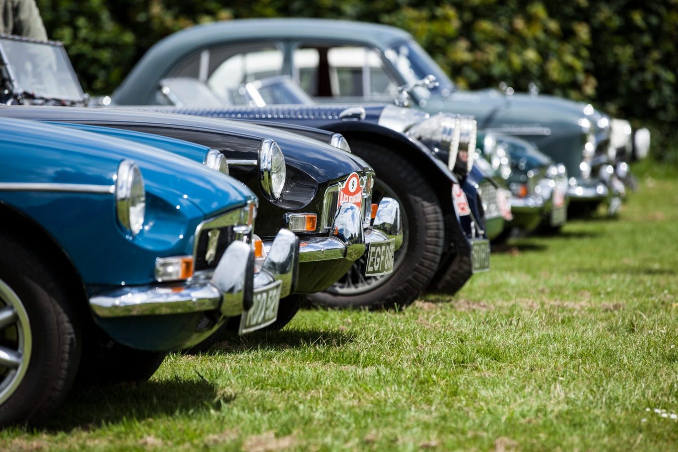 Row of classic cars parked on grass, showcasing diverse vintage styles.