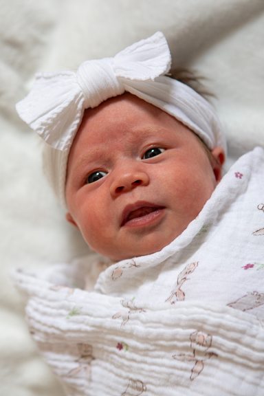 Newborn baby wrapped in a blanket, wearing a bow headband and looking towards the camera.